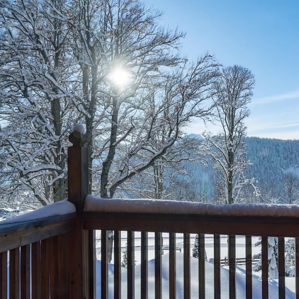 Apartment Dachstein Ramsauhof apartment Dachstein View from the apartment © Christine Höflehner